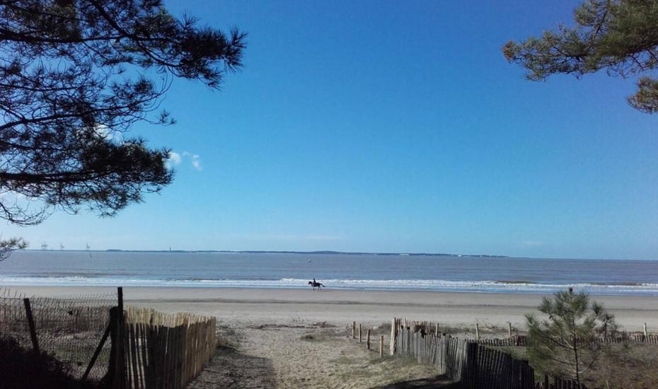 Se promener sur les plages - equitation plage