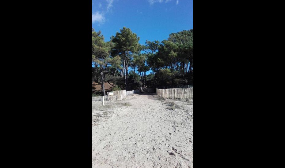Profitez des plages de la région - acces plage