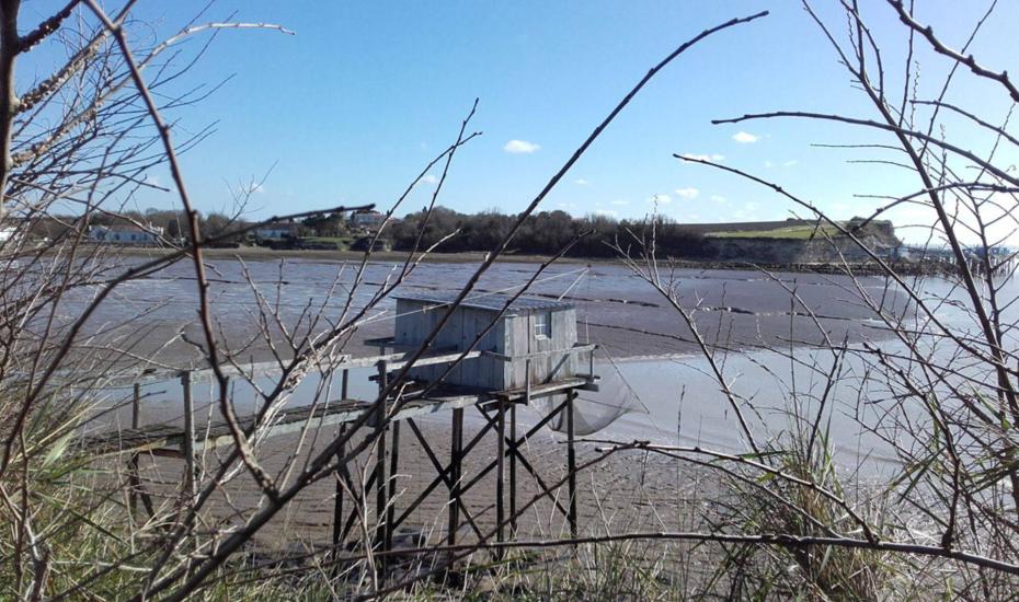 Découvrez la pêche au carrelet - peche au carrelet