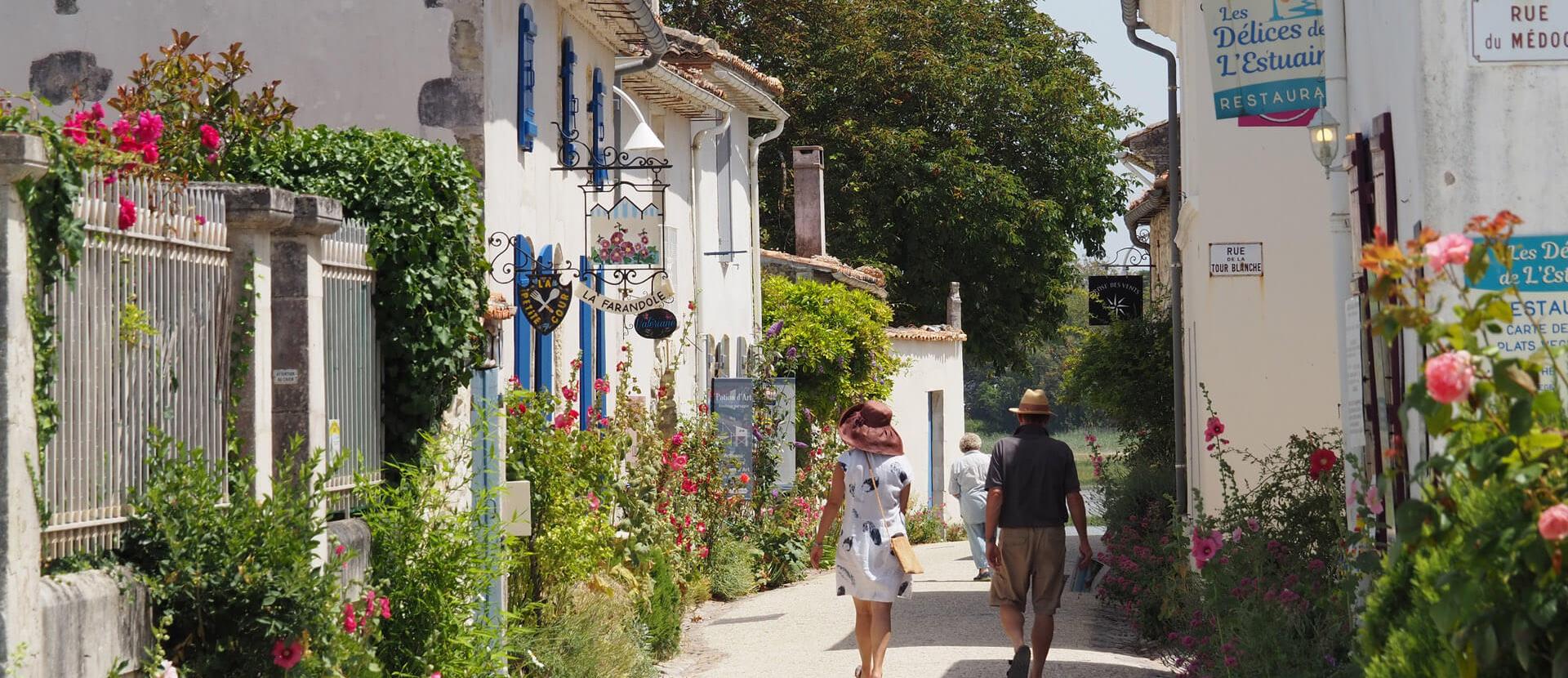 ᐃ LE SORLUT ** - talmont sur gironde